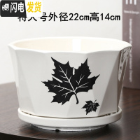 三维工匠花盆陶瓷创意个性两个大号特大号带托盘家用绿萝多肉花盆 桔色菱枫叶一个特大 大花盆容器