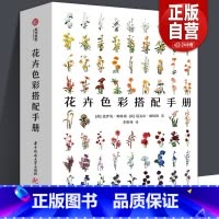 [正版]共483页 花卉色彩搭配手册 《小姐姐的花店 欧阳娜娜同款》花艺师工具书配色方案鲜花插花基础入门百科绘画素材宝