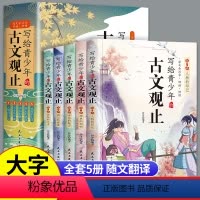 [全5册]写给青少年的古文观止 [正版]抖音同款写给青少年的古文观止全套5册 白话文青少版小学生版初中生高中儿童版文言文