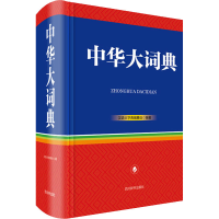 音像中华大词典汉语大字典编纂处