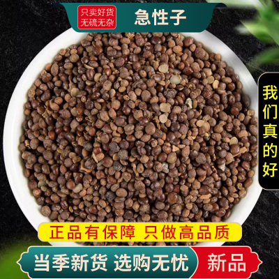 甄选急性子100克干货新货凤仙花子指甲花籽正品急性籽9260