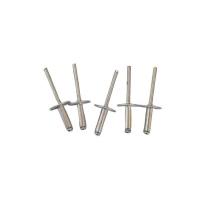 益莘 铝制抽芯铆钉(100个) M5*25 包