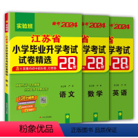 2024版语数英三科 小学升初中 [正版]小升初真题卷2024语文数学英语江苏省小学毕业升学考试试卷精选28套卷六年级升