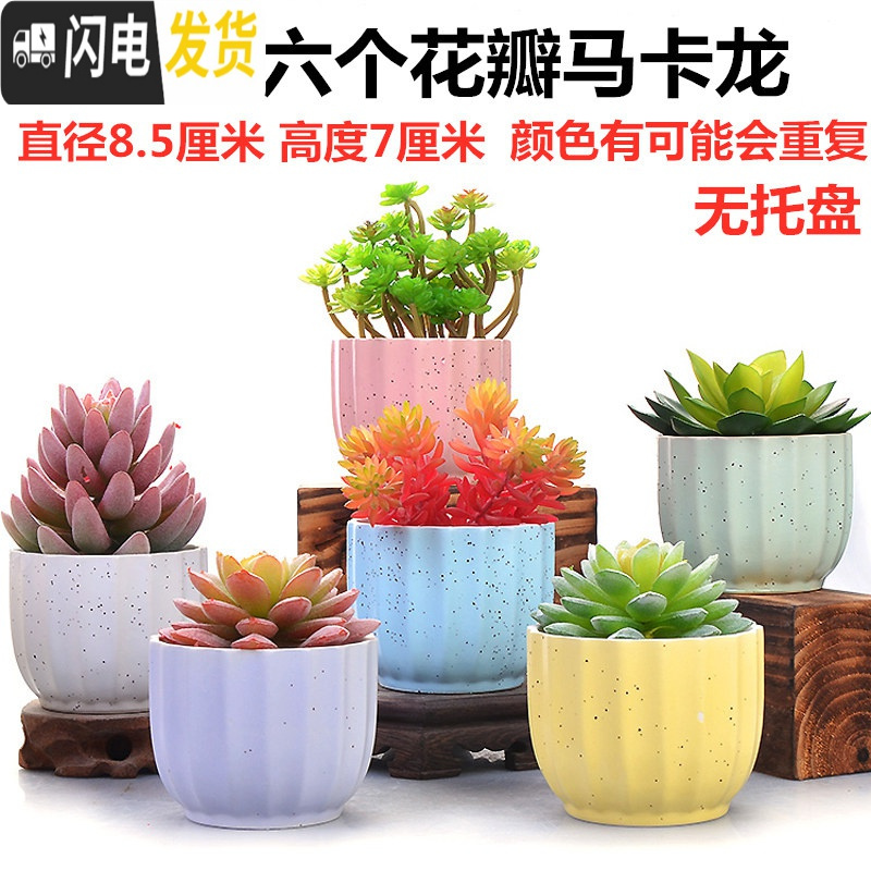 三维工匠多肉花盆陶瓷带托盘粗陶复古素烧紫砂家用创意大小简约 六个花瓣马卡龙 小花盆容器