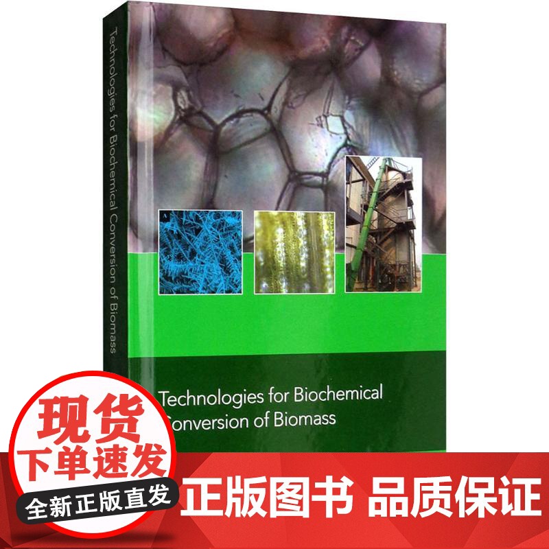 生物质生化转化技术 陈洪章, 王岚著 著 自然科学总论专业科技 正版图书籍 冶金工业出版社