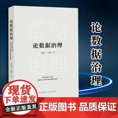 2024新书 论数据治理 李爱君 于施洋著 法律出版社