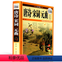 [正版]唐诗宋词元曲鉴赏 中国古诗词大会全注释点评唐诗宋词三百首全集套装诗经全唐诗词赏析词典大全辞典诗集文学读物全彩图