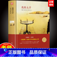 [正版]精装 我的大学 高尔基 童年 在人间全译本无删减完整版世界文学经典名著课外阅读书籍书排行榜