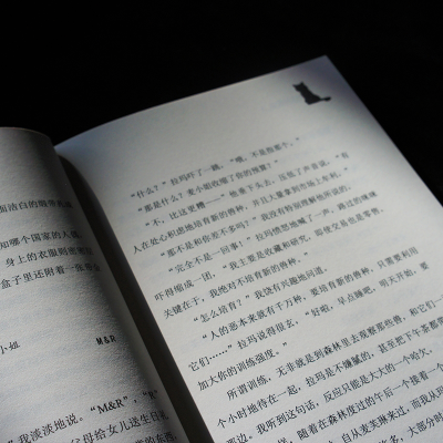 [M]夜色玛奇莲 2 毛豆邂逅银白色头发的少年-9787020172962