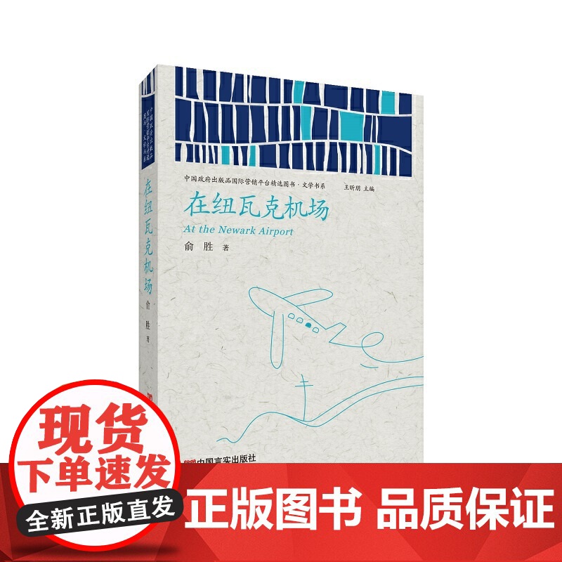 在纽瓦克机场 (中国政府出版品国际营销平台精选图书·文学书系)