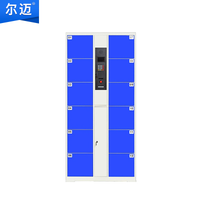 尔迈 电子存包柜超市商场员工寄存柜红外条码指纹刷卡人脸识别储物柜12门