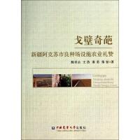 戈壁奇葩—新疆阿克苏市良种场设施农业礼赞