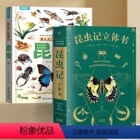 昆虫记立体书(组合套装) [正版]昆虫记 立体书 50个昆虫 上百个知识点 《中国国家地理》特约插画师出离绘制 小学生