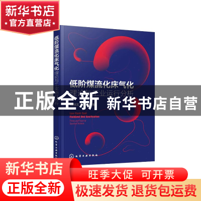 正版 低阶煤流化床气化:理论与工业运行分析:theory and industri