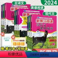 [初中789年级通用:3本]英语阅读与写作 七年级/初中一年级 [正版]2024新黑马阅读七八九年级上册下册新目标英语阅