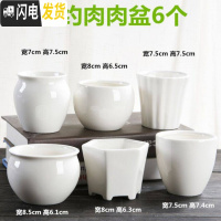 三维工匠多肉花盆陶瓷大号肉肉植物个性绿萝创意简约大口径小花盆 简约肉肉盆6个 小花盆容器