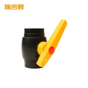 瑞吉君 PE球阀 25mm 个