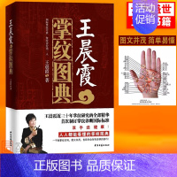 王晨霞掌纹图典 [正版]王晨霞掌纹图典 王晨霞掌纹诊病治病手诊手疗图解精要实用图谱书籍 中医基础理论女性血压高健康保健看