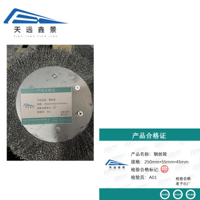 天远鑫景钢丝轮250mm*55mm*45mm只