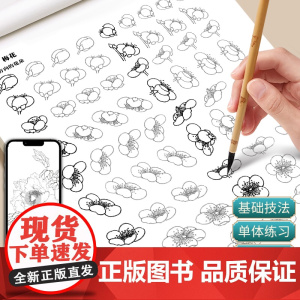 中国画白描入门描摹本国画工笔花卉美术套装画本工具描红书初学者画画临摹画册毛笔绘画练习教材