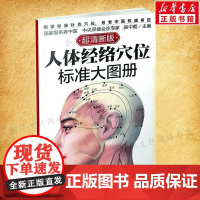 人体经络穴位标准大图册 超清晰 人体经络穴位图解书人体穴位图解大全 中医按摩经络穴位书籍 经络穴位按摩大全养生书 正版
