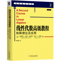 音像线代数级教程(矩阵理论及应用)/华章数学译丛