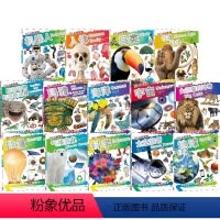 DK小科学馆·第二辑:一座可以随身携带的科学图书馆(共14册) [正版]5-12岁DK小科学馆 第二辑 一座可以随身携带