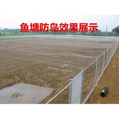 防鸟网_防鸟网推荐- 苏宁易购