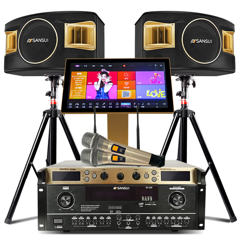 山水(SANSUI) SP2-11套装家庭影院家用客厅会议室专业效果器组合音箱电视KTV音响拓浦发3T语音点歌