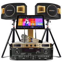 山水(SANSUI) SP2-11套装家庭影院家用客厅会议室专业效果器组合音箱电视KTV音响拓浦发3T语音点歌