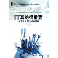 正版新书]IT真的很重要:世界级公司的成功战略(美)海 徐旭铭9