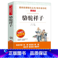 [五年级选读]骆驼祥子 [正版]四大名著全套4册小学生版西游记红楼梦三国演义水浒传原著五年级下册必读课外阅读书籍儿童青少