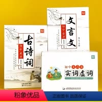 初中[文言文卡+古诗词卡+实词虚词]卡 初中通用 [正版]易蓓人教版初中七八九年级必背古诗词85首文言文大全手卡随身携带