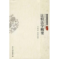 音像比较法学概要龚钺