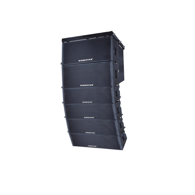 戴阳双6.5寸专业线阵音箱T35(联系客服发货)