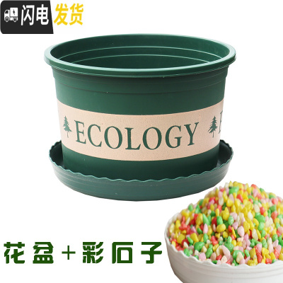 三维工匠塑料玫瑰盆栽花肉肉绿萝月季专用加伦树脂家用特大号超大加 [3个盆]+彩石子2斤 矮胖4.3L(口径21.花盆容器