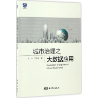 音像城市治理之大数据应用王忠,王晓华 著