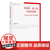 外部性、重工业与经济发展:计划经济时代再考察