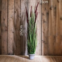 家柏饰(CORATED)洋葱盆景大型仿真植物绿植仿真树装饰摆件陈列布景道具 B缨草灰盆