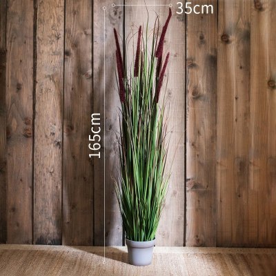 家柏饰(CORATED)洋葱盆景大型仿真植物绿植仿真树装饰摆件陈列布景道具 B缨草灰盆