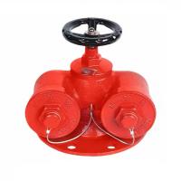 盛京联硕 多功能水泵接合器 DN100 台