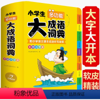 [正版]2022新版小学生多功能大成语词典彩图大字配音频成语工具书