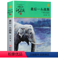 最后一头战象 [正版]完整版后一头战象全本沈石溪的图书籍动物小说大王品藏系列小学生四五六年级儿童文学作品珍藏大全全集全套