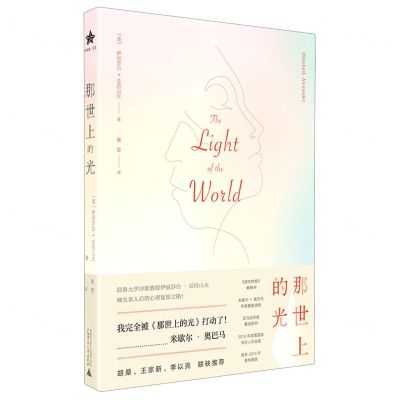 [N]那世上的光-9787559829955