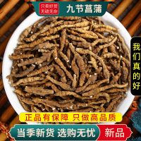 甄选九节菖蒲100克菖京菖蒲小菖蒲中条山菖蒲正品干货9260