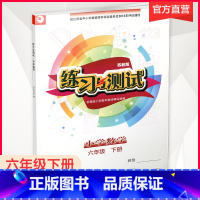 数学练习与测试[苏教版] 六年级下 [正版]2024年春 练习与测试 不含试卷 小学数学六年级下册 6下 苏教版 含参考