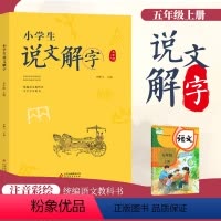 语文 小学五年级 [正版]小学生说文解字五年级上册 语文教科书生字学习用书彩绘版识字生字幼小衔接教学 造字思想学生教师用