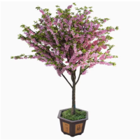 诚智旺 绚丽海棠 1米高/棵