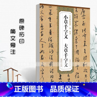 [正版]0减40唐怀素小草千字文大草千字文历代碑帖精粹薛元明主编 草书毛笔字帖碑帖作品唐代名家书法临摹练字帖安徽美术出