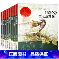 沈石溪画本(全套) [正版]沈石溪画本第一辑全套8册动物小说系列全集第七条猎狗后一头战象白象家族红奶羊非注音版五年级六年